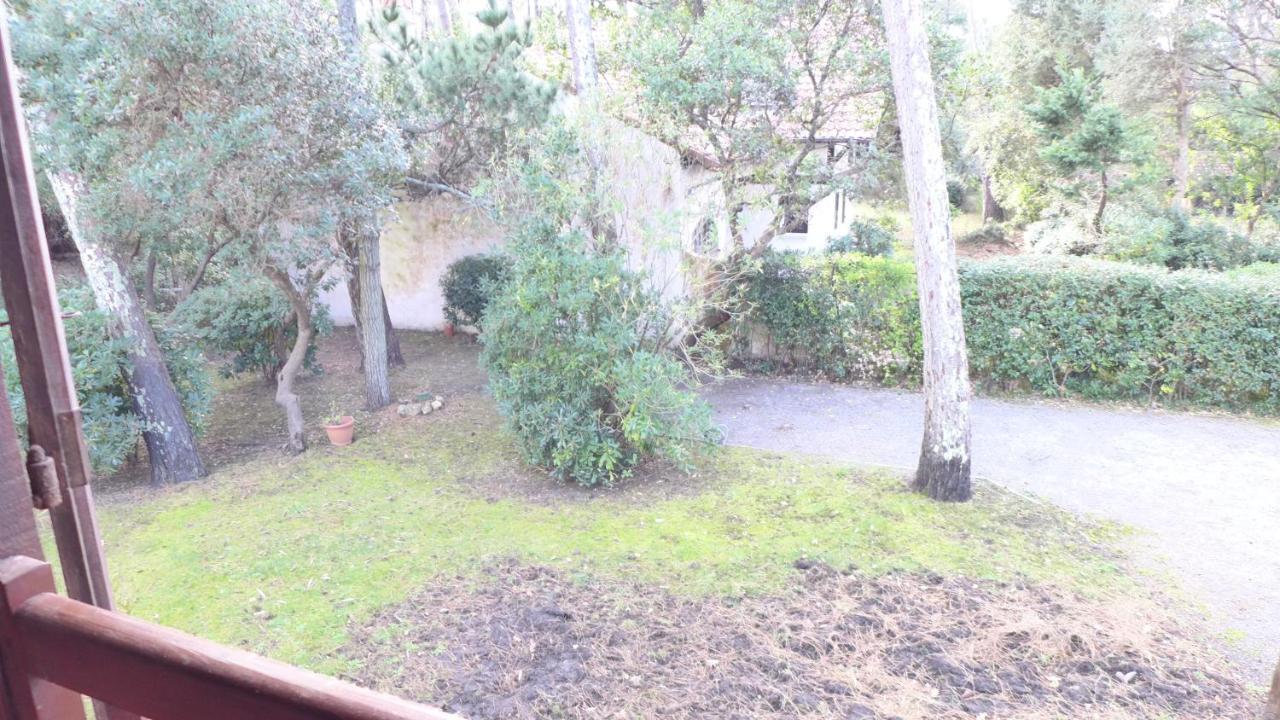 Ref 141 ,Seignosse Les Bourdaines , Villa Bouharde Classee 3 Etoiles, A 600 M Plage, 10 Personnes Zewnętrze zdjęcie